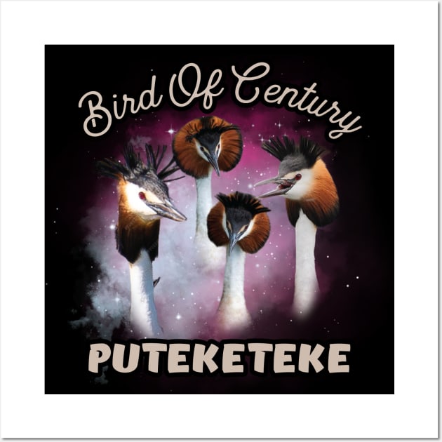 Puteketeke // Bird Of The Century Wall Art by Trendsdk